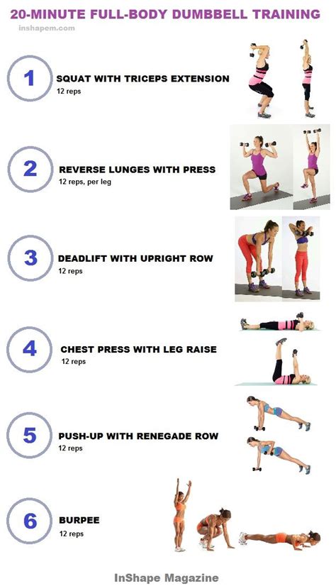 Full Body Workout Fitness Schema