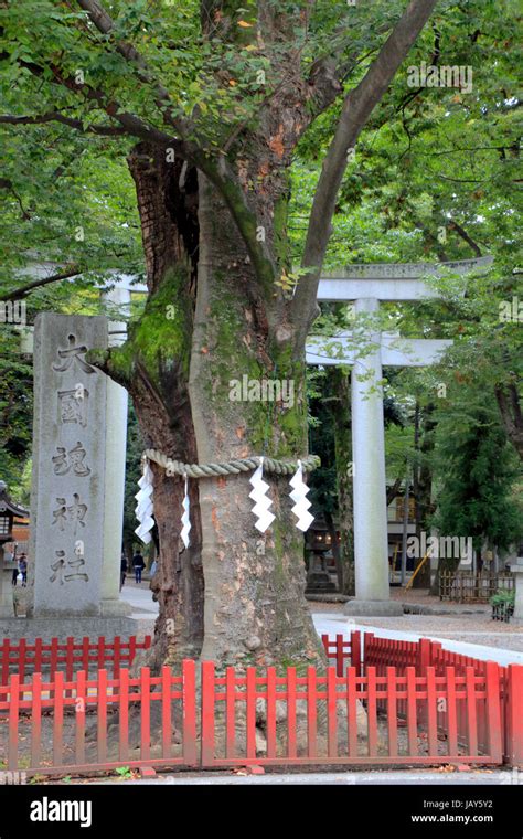 Okunitama Jinja Shrine In Fuchu City Tiky Japan Stock Photo Alamy