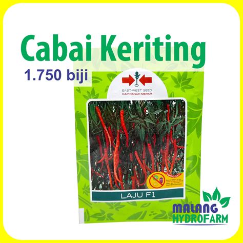 Benih Cabai Keriting Laju F1 1750 butir Cap Panah Merah dataran rendah