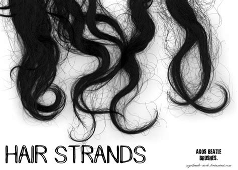 Hair Strands Png Free Cliparts Download Images On Clipground