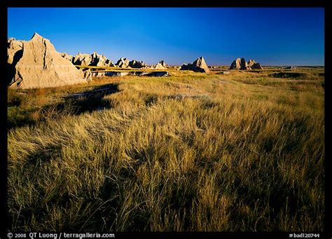 Picturephoto Tall Grass Prairie And Badlands Near Cedar Pass