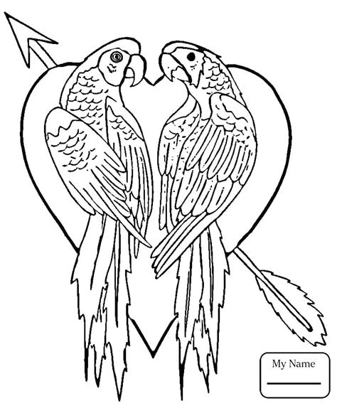 Black and white contour thin line. Flying Parrot Coloring Pages at GetColorings.com | Free ...