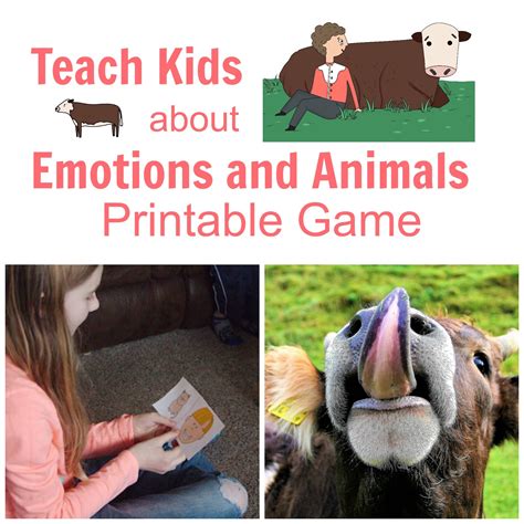Teaching Kids About Emotions With Animals Life With Moore Babies