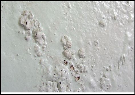 Why is my paint bubbling? NJ Dealing with Paint Blistering Problems - Brennan ...