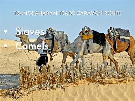 The desert made mass trade hard, but once people were able to use the camel, they could easily cross and the sahara and trade with each other. Africa by chyenne.lisenby