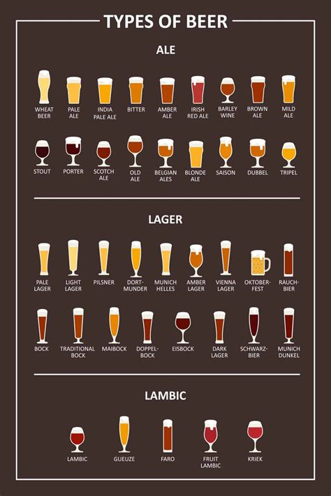 24 Different Types Of Beer Glasses Detailed Chart And Descriptions Home Brewing Beer Beer