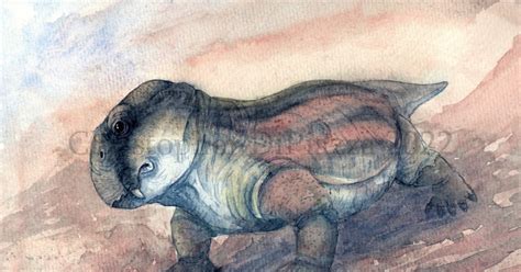 Prehistoric Beast Of The Week Lystrosaurus Beast Of The Week