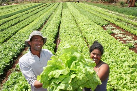 Ministerio de Agricultura impulsará proyectos agrícolas en Antioquia Periódico El Campesino
