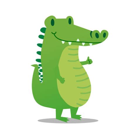 Alligator Illustrations Royalty Free Vector Graphics And Clip Art Istock