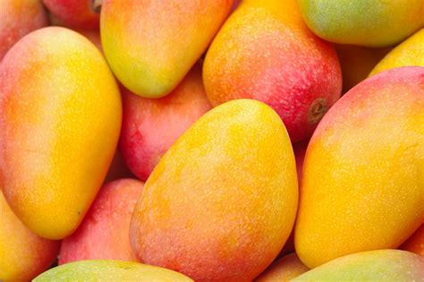 Mango - cudowny owoc o właściwościach leczniczych