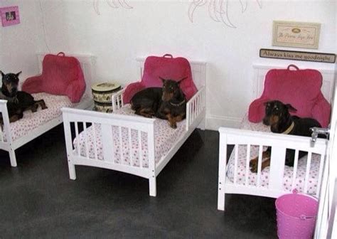 Creating your own pet bedroom is an actual thing that is rising in popularity. 177 best Dog Boarding Kennels images on Pinterest | Kennel ...
