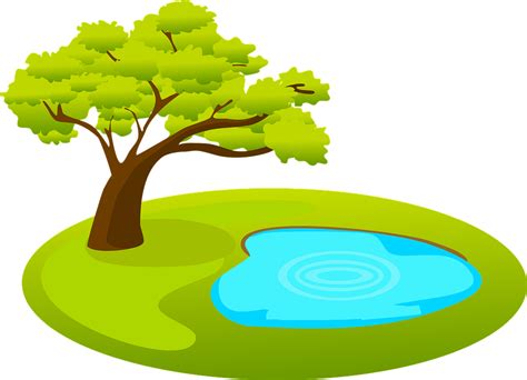 Пруд Дерево Вода Бесплатная векторная графика на Pixabay