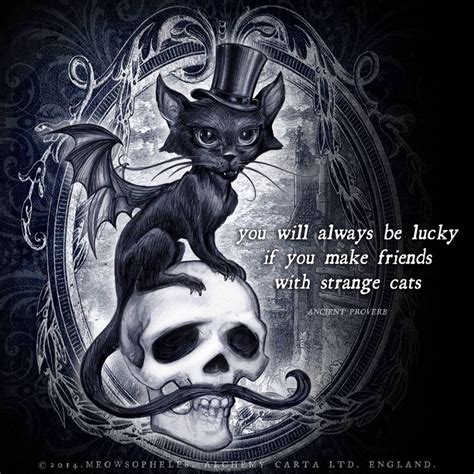 Black Cat Art Fantasy Art Alchemy Gothic Art