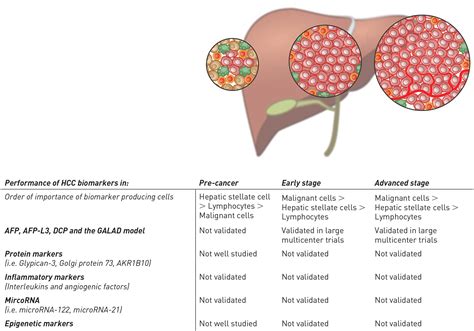 Circulating Biomarkers For Early Detection Of Hepatocellular Carcinoma