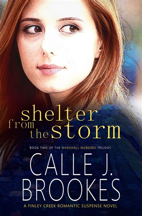 Shelter From The Storm Ebook By Calle J Brookes Epub Book Rakuten
