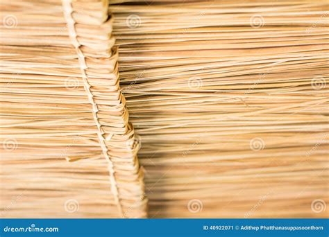 The Texture Of Thatched Roof At The Hut In The Countryside Stock Image