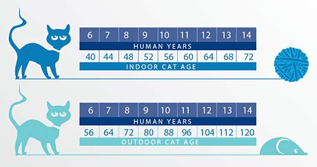 Growth charts also help you find the answer to the question of when do cats stop growing with for a few breeds, how old are cats when they stop growing may take up to three or even five years. Animal Health: Calculating your cat's age - Partickles Blog