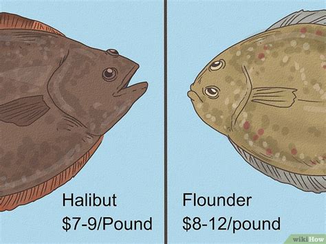 Flounder Vs Halibut Differences In Taste And Appearance