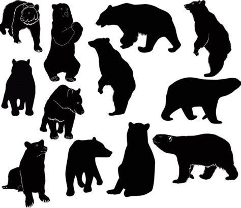 Silhouette Bear Collection ⬇ Vector Image By © Newelle Vector Stock