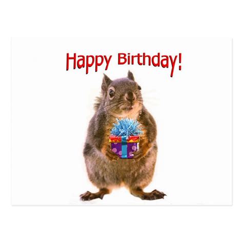 Happy Birthday Squirrel With Present Postcard Happy