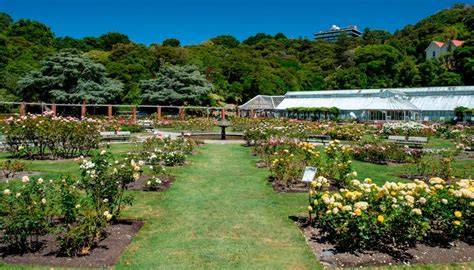 Move To Remove Wellington Botanical Garden Rubbish Bins Newshub