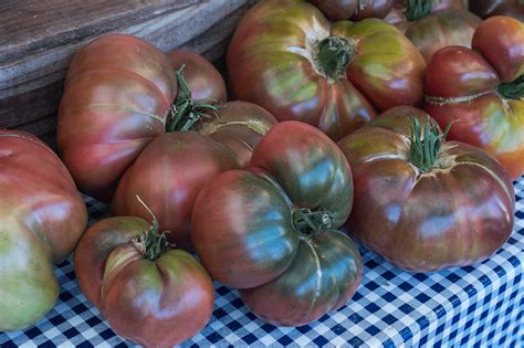 Tips For Growing Heirloom Tomatoes From Market Farmers