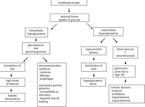 Pathophysiology Of Diabetes Mellitus Algorithm