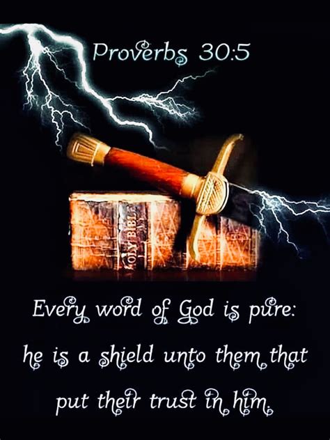 “every Word Of God Is Pure He Is A Shield Unto Them That Put Their