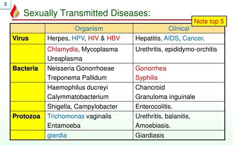 Ppt Pathology Of Std Sexually Transmitted Disorders Powerpoint