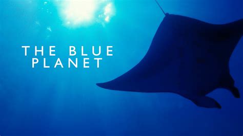 Watch Blue Planet Online Stream Season 1 Now Stan