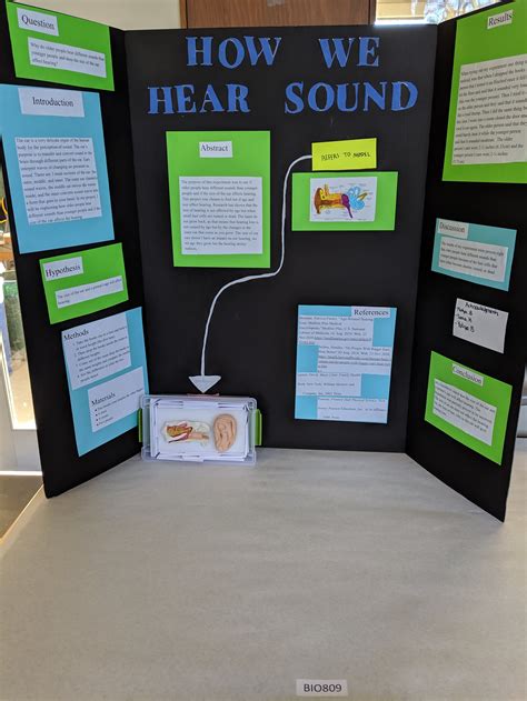 7th And 8th Grade Science Fair Projects At Randall Science Museum