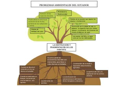 Arbol De Causas Y Consecuencias Flowchart The Best Porn Website