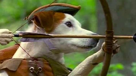 Wishbone Theme Now You Know Youtube