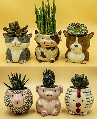Mattys Garden Animal Ceramic Succulent Planters Set Of 6 25 Inch