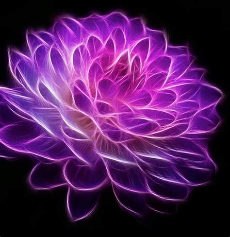 Fractal Fractal Art Flower Photography By Photocatcher On Etsy