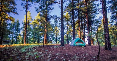 Camp At Pine Grove Campground Flagstaff Arizona