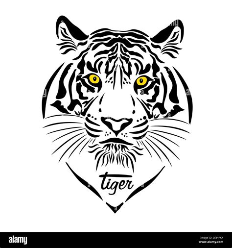 The Tiger S Muzzle Is Graphic Vector Illustration Stock Vector Image