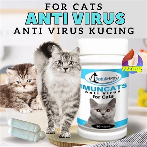 Antibiotic Medicine Cat Cat Kitten Anti Bacteria Virus Boost Cat Immune