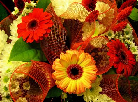 1920x10802019 Gerbera Colorful Flowers 1920x10802019 Resolution