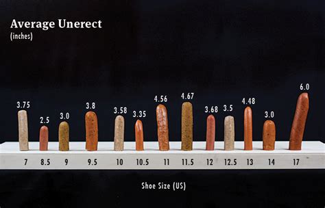 is there any truth to “shoe size penis size” the bold italic