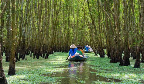 Sungai Mekong Vietnam Torie Traylor