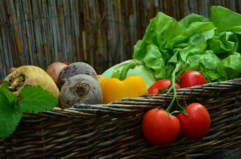 Free Images Salad Harvest Produce Garden Healthy Eat Vegetables