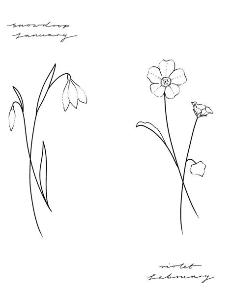 Birth Flower Flash January - Snowdrop February - Violet March