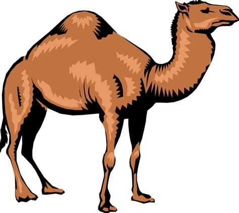 Download Vector Illustration Of Dromedary Single Humped Beast Camel