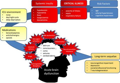 Critical Illness The Brain Is Always In The Line Of Fire Springerlink