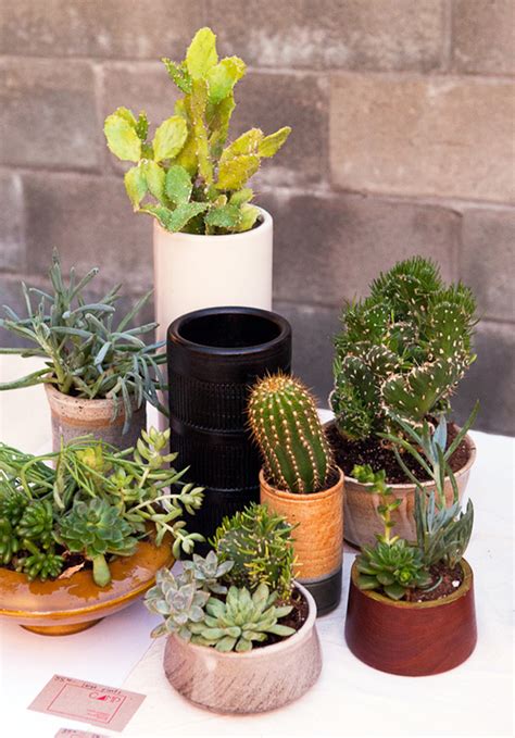 How to build an indoor succulent garden mini cactus make diy easy cacti curated planting a simple gardens you. The Koenigs Create: 15 Beautiful Indoor Cactus Gardens