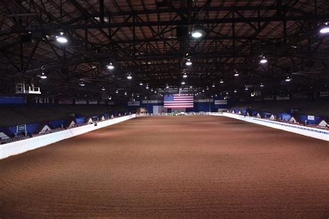 How To Watch Riata Buckle Livestream The Team Roping Journal