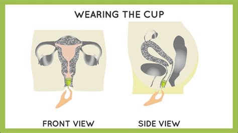 How To Insert A Menstrual Cup Hygiene And You Youtube