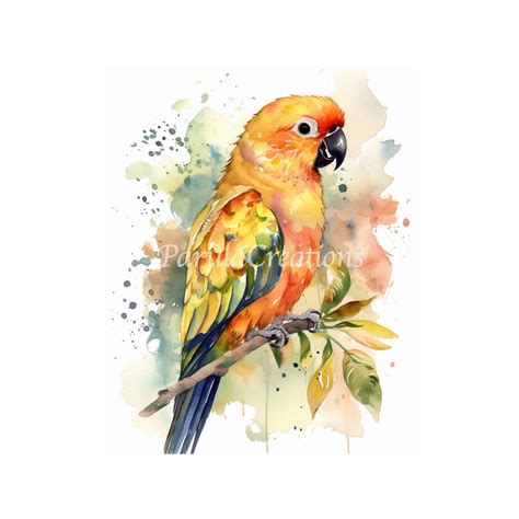 Watercolor Sun Conure Parrot Digital Art Print Instant Etsy