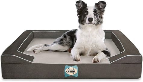 The 7 Best Odor Resistant Dog Beds Barkforce